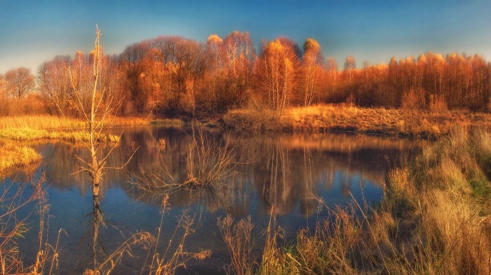 Photograph by Владимир