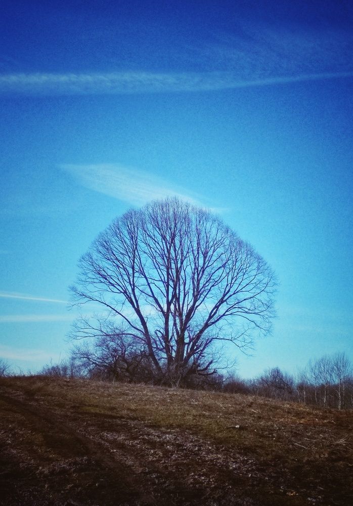 Photograph by Марина Жарикова