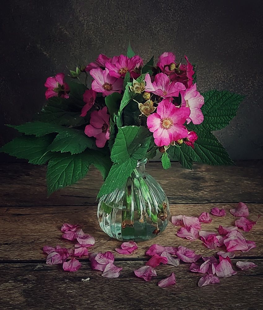 Photograph by Елена Кирикова