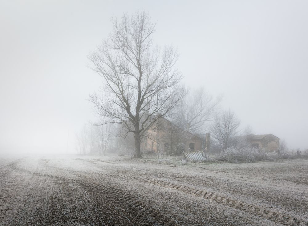 Silent Echoes of Winter
