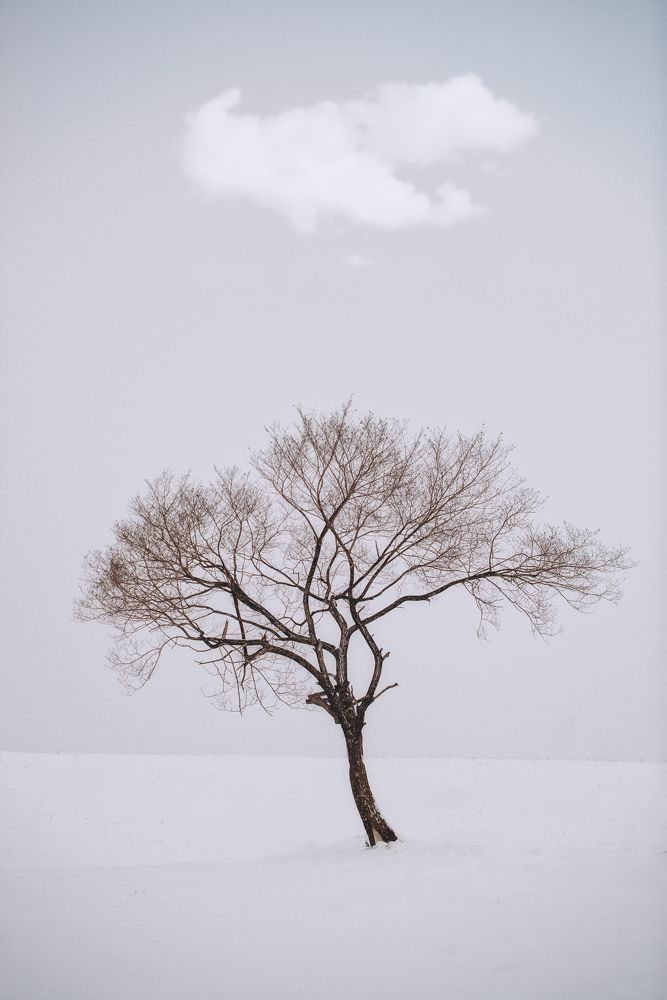 Фотография автора Артём Кошелев