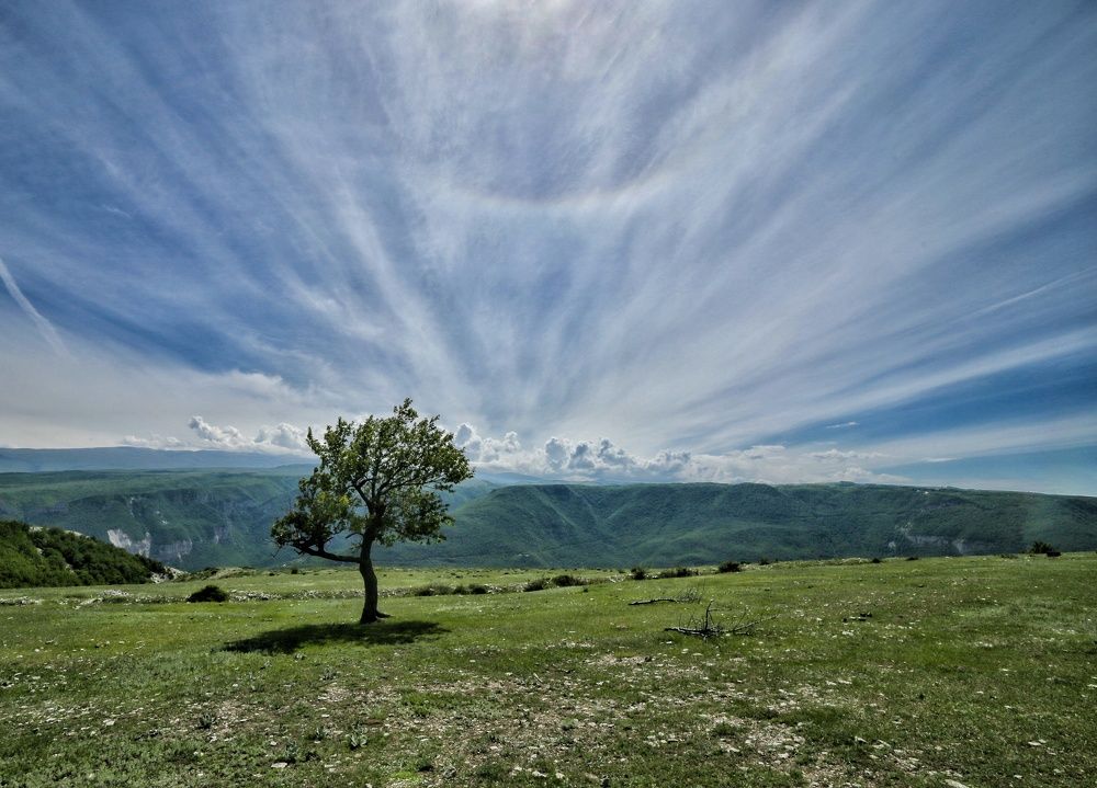 Photograph by Leanid Kulpo