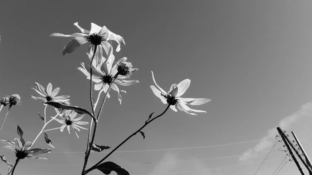 Photograph by Елена Лещева