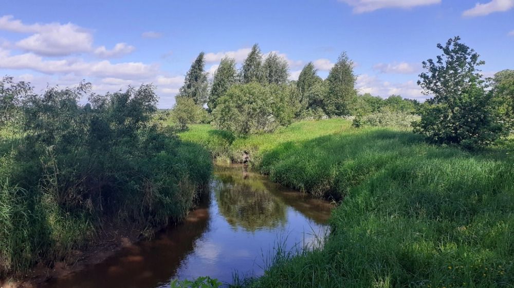 Photograph by Елена Лещева