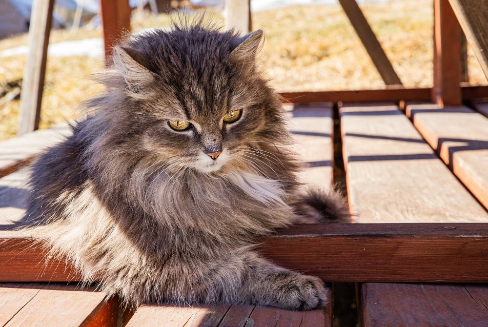 Photograph by Елена Павлова