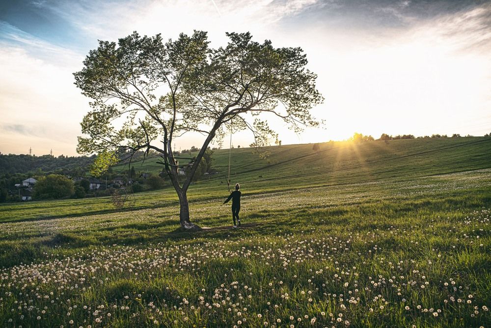 Фотография автора Артём Кошелев