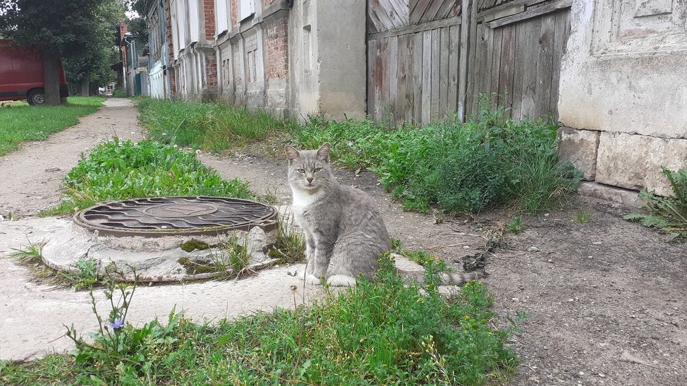 Photograph by Елена Лещева