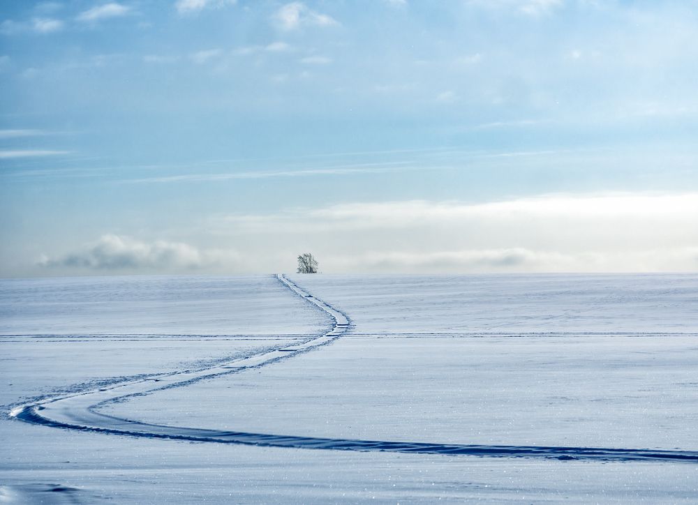 Photograph by Марина Брыдня