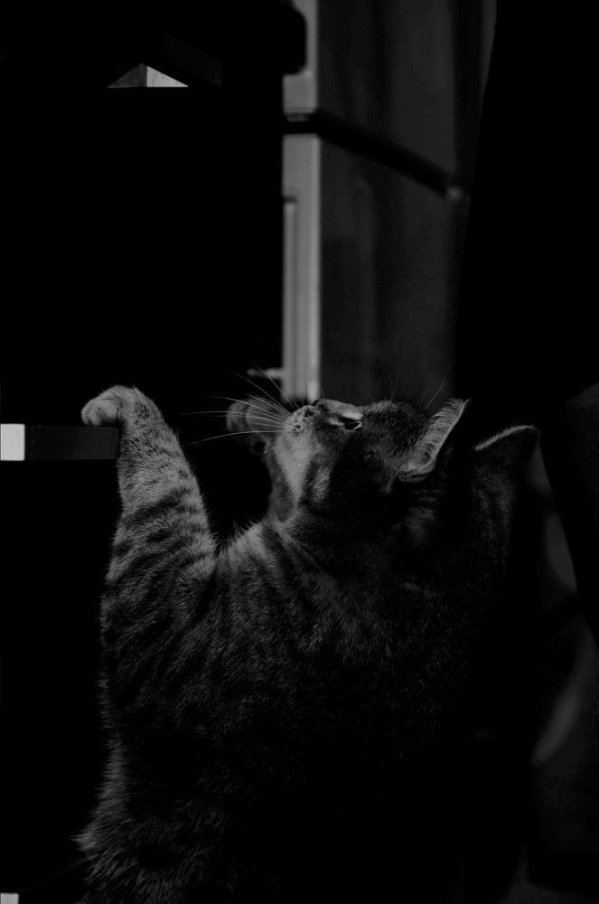 Photograph by Зыкова Мария