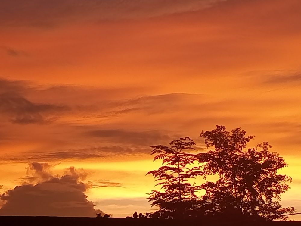 Evening