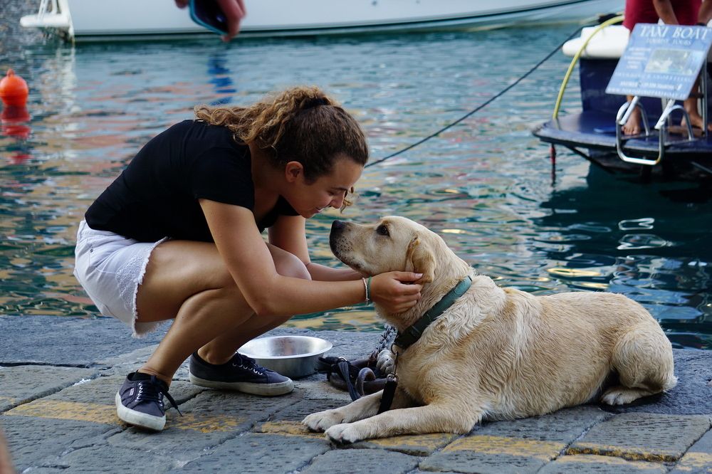 Photograph by Игорь Семеновский