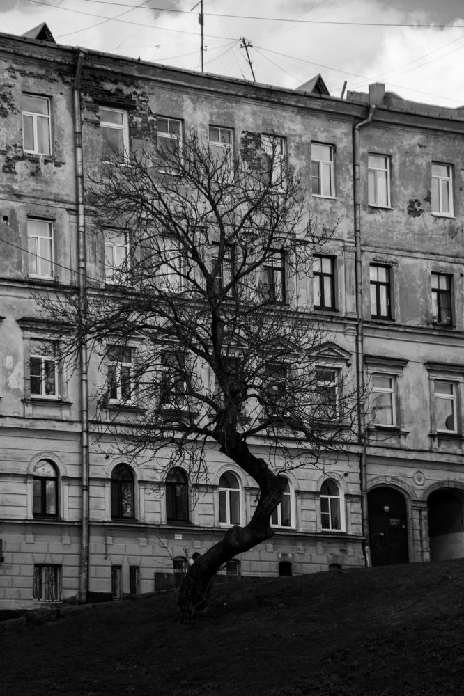 Photograph by Сергей Епифанов