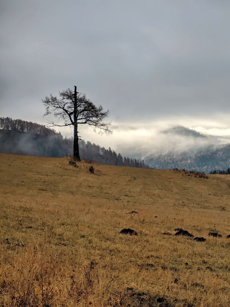 Photograph by Кузнецов Дмитрий