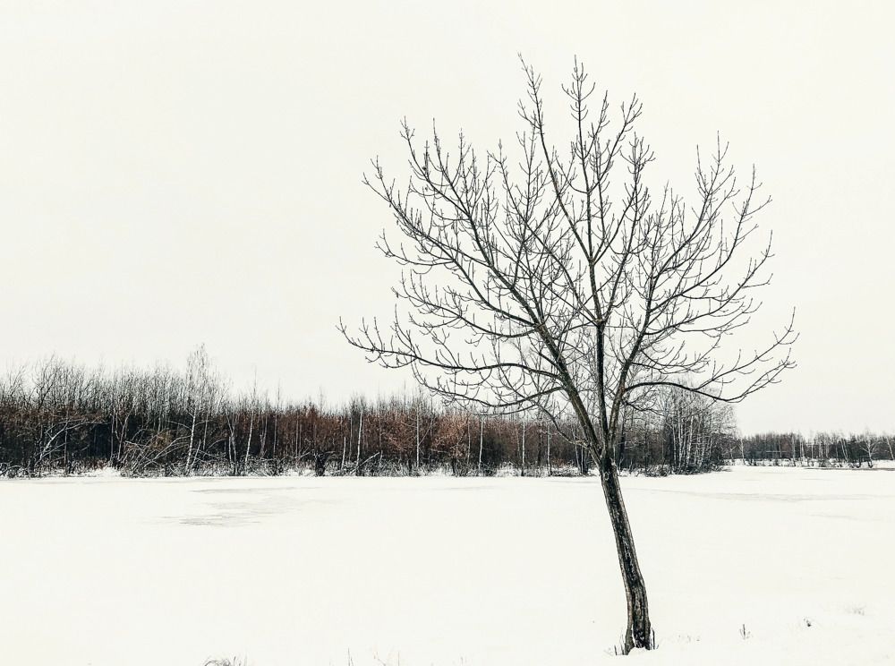 Photograph by Зыкова Мария