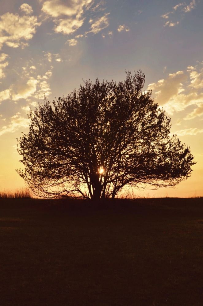 Photograph by Зыкова Мария