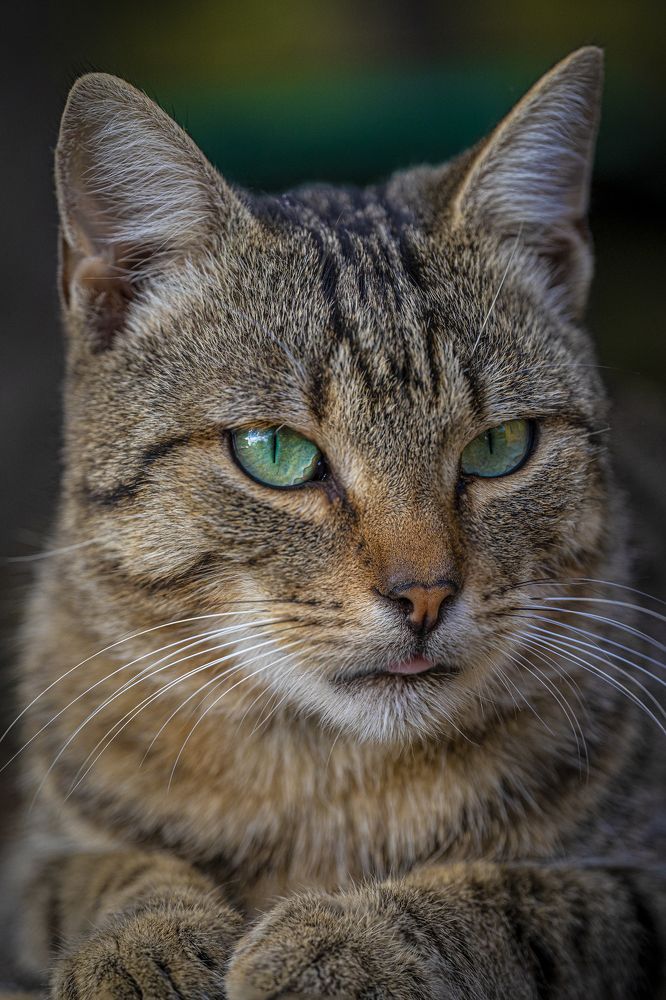 Photograph by Игорь Толкачев