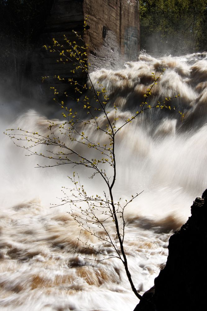 Photograph by Сергей Епифанов