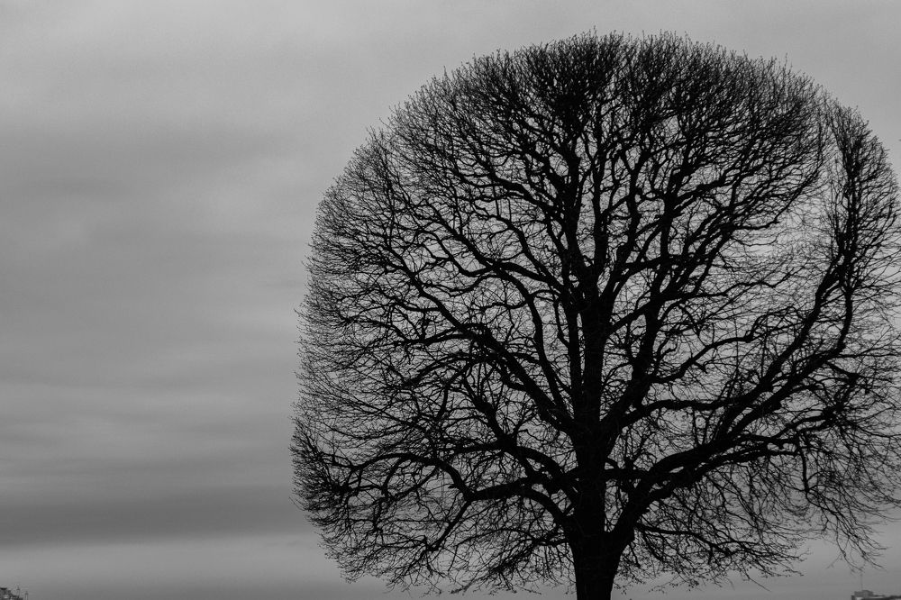 Photograph by Сергей Епифанов