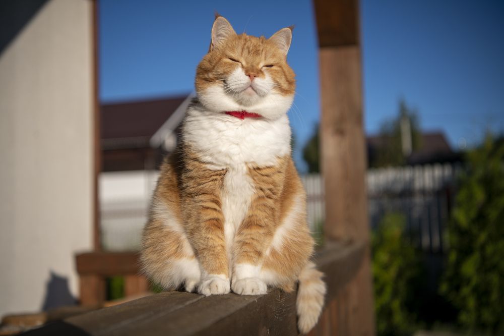 Photograph by Пупонин Сергей