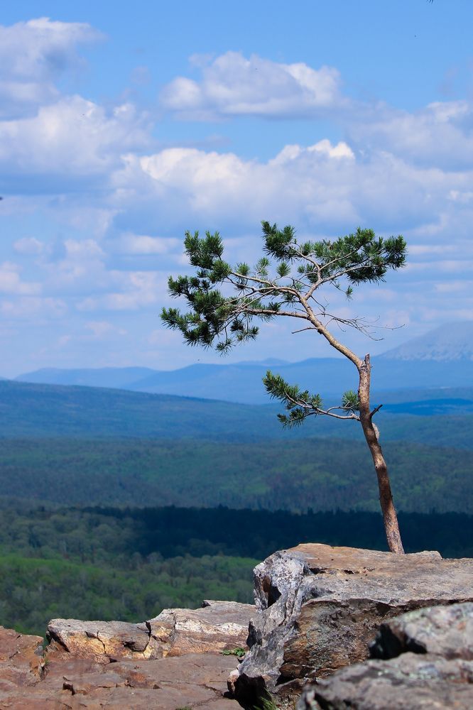 Photograph by Олеся Постнова