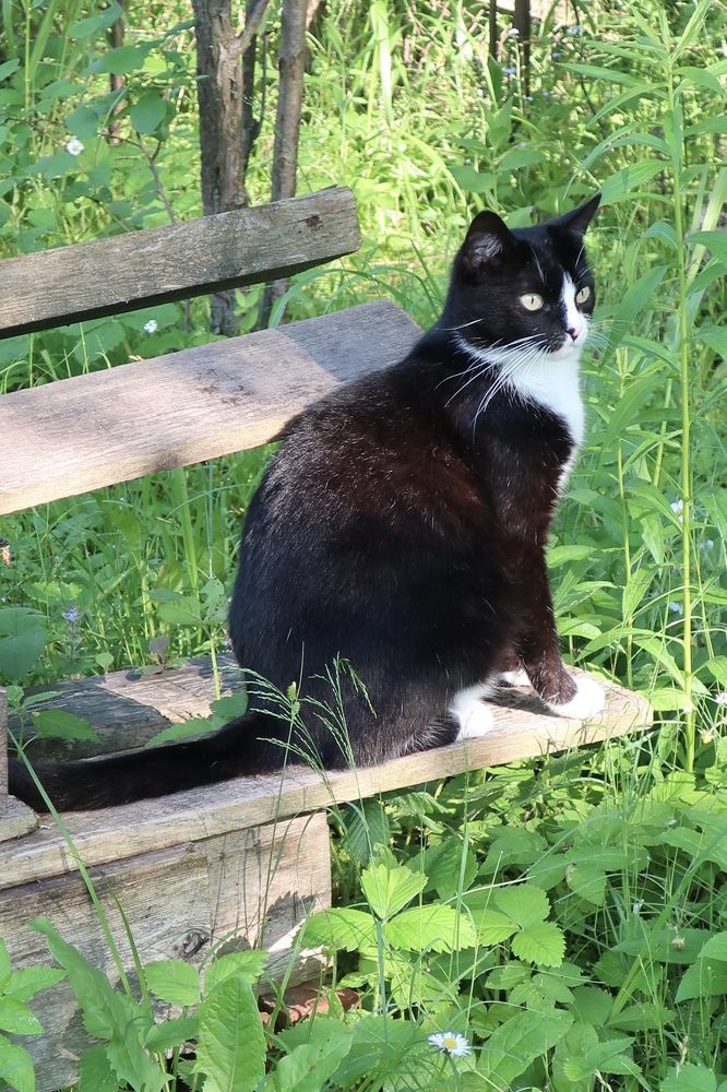 Photograph by Надежда Ткаченко