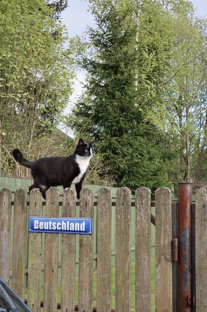 Photograph by Надежда Ткаченко