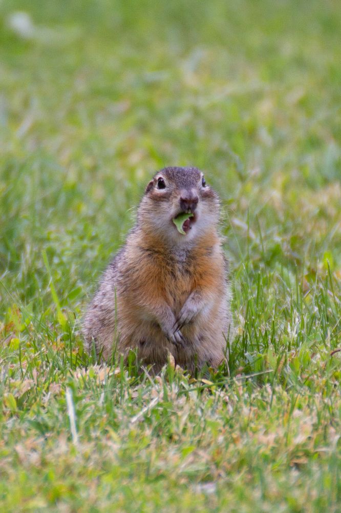 Photograph by Василиса Филимонова