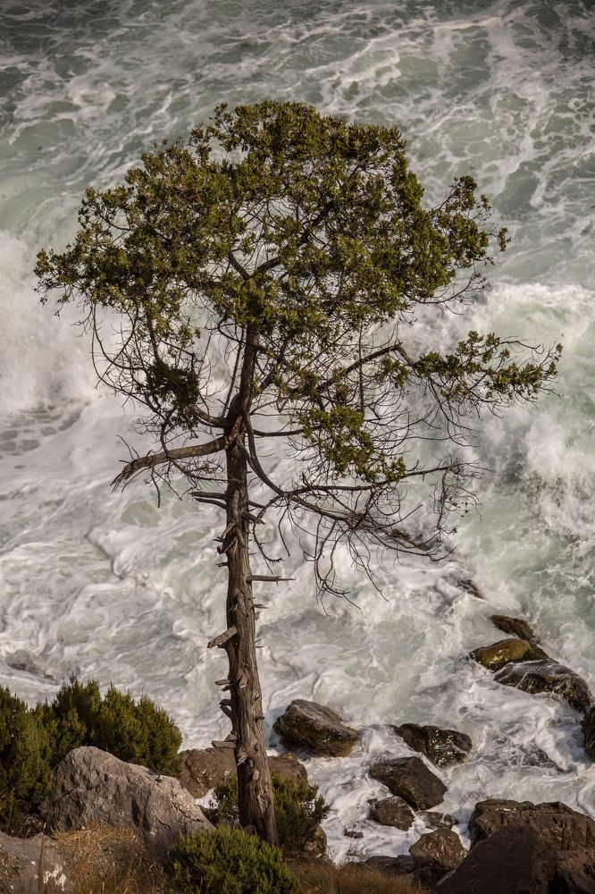 Photograph by Игорь Квочка