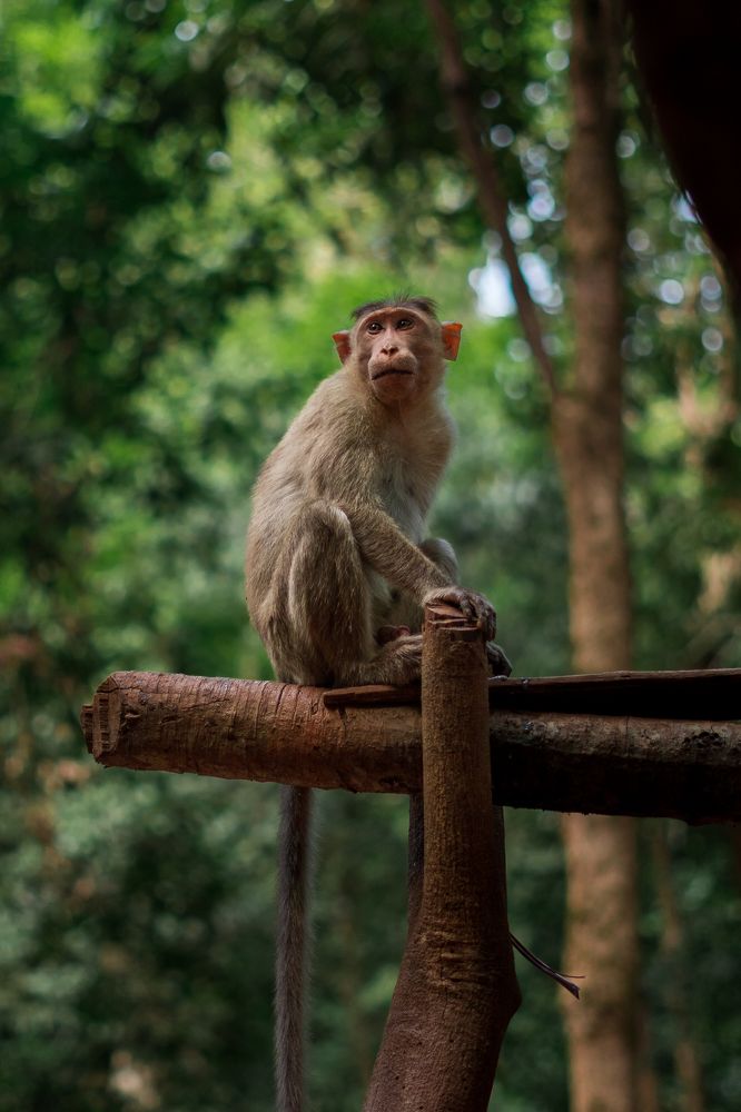 Фотография автора Aniket