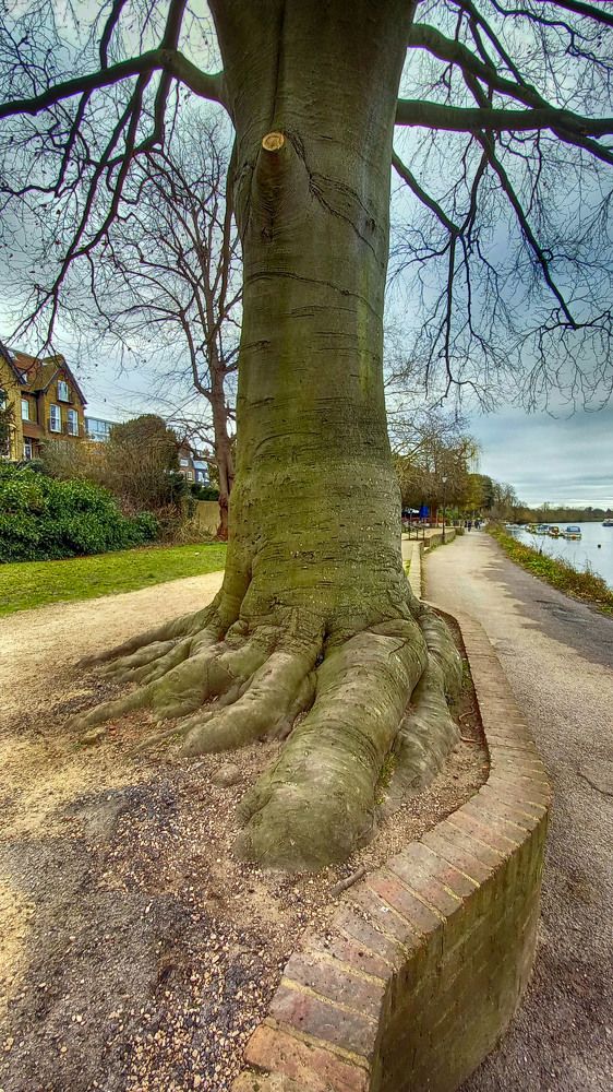 Это нога, у кого надо нога