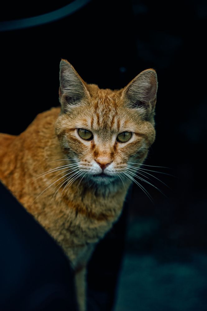 Photograph by Федор Гурьев