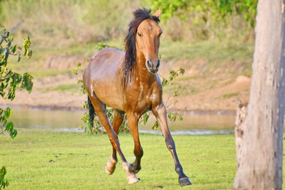 Photograph by Marzio Fattorini