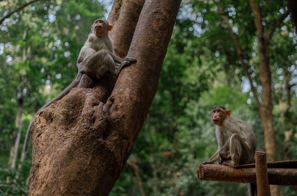 Фотография автора Aniket