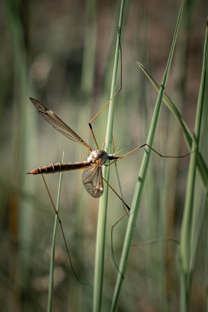 Photograph by Игорь Иванов