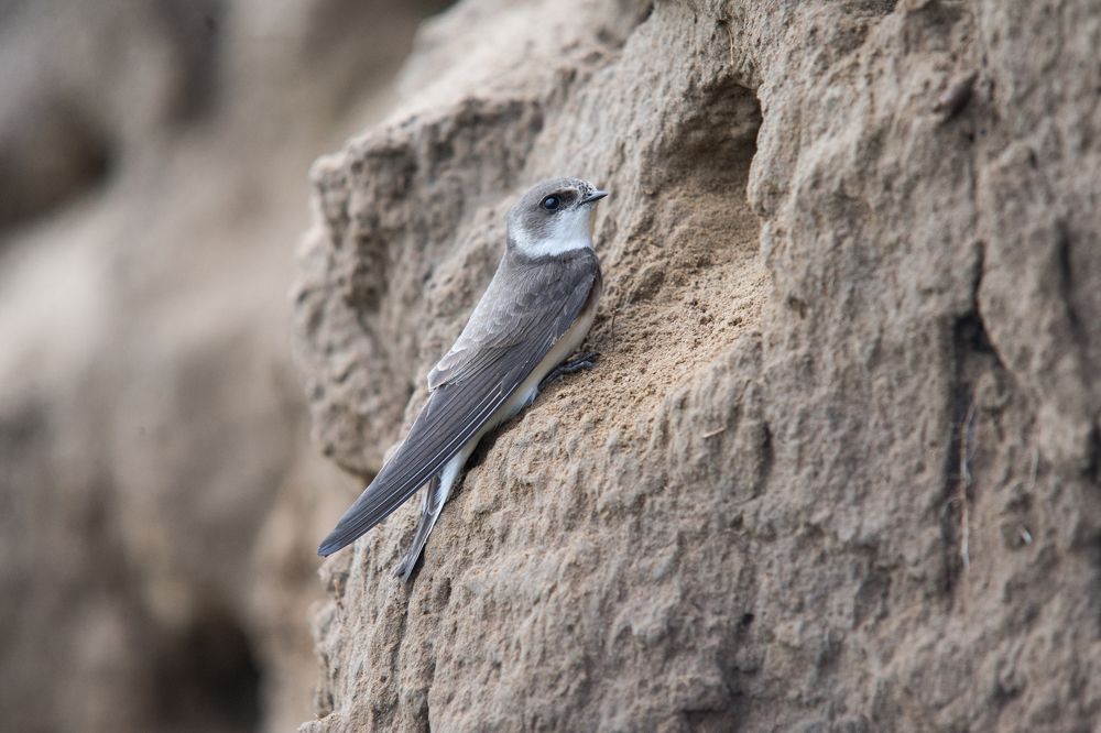 Photograph by Иван Овчинников