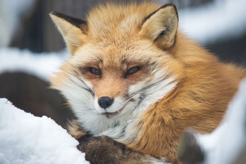 Photograph by Иван Овчинников