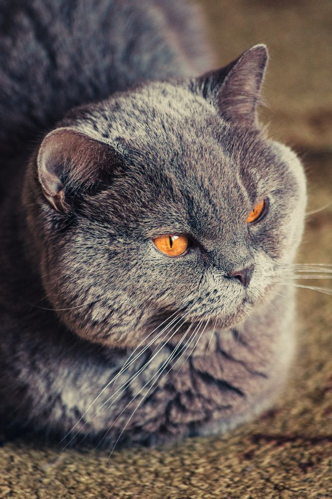 Photograph by Илья Ровинский