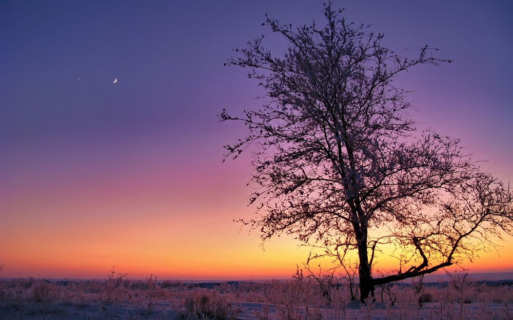 Photograph by Владимир Акиньшин