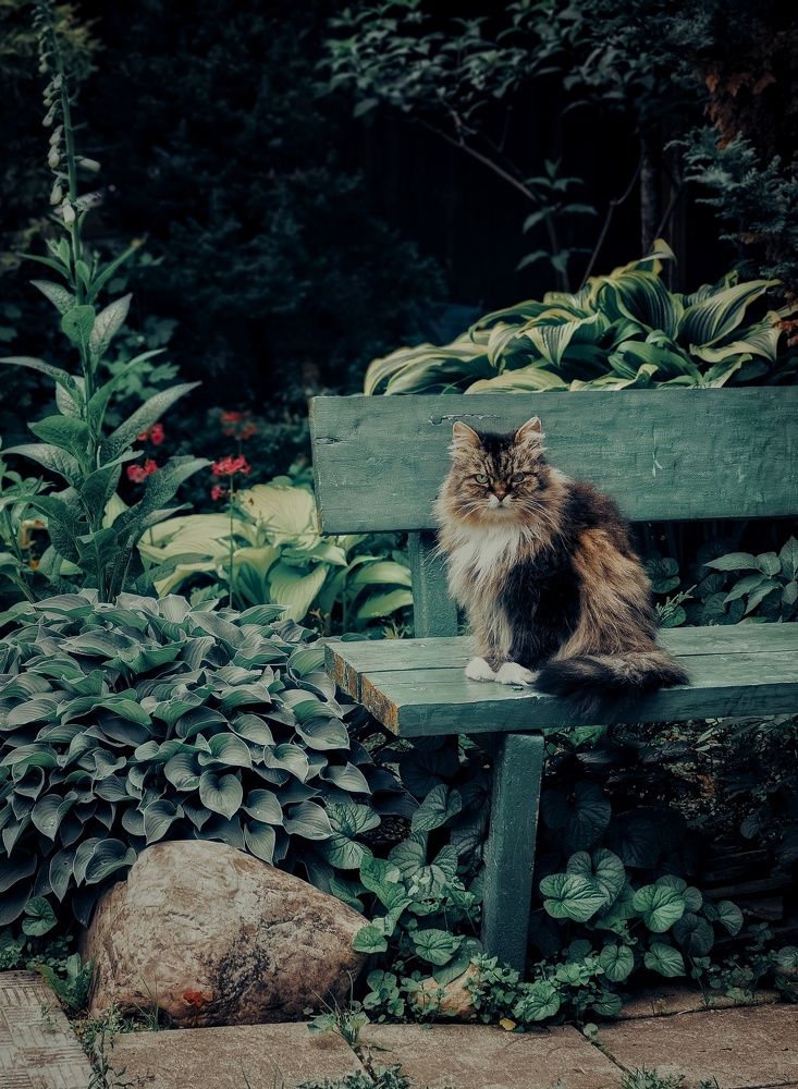 Photograph by Олеся Зеленщикова