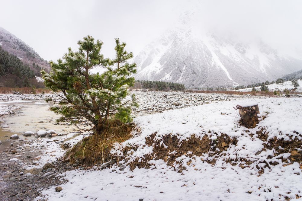 Photograph by Alexander Novikov