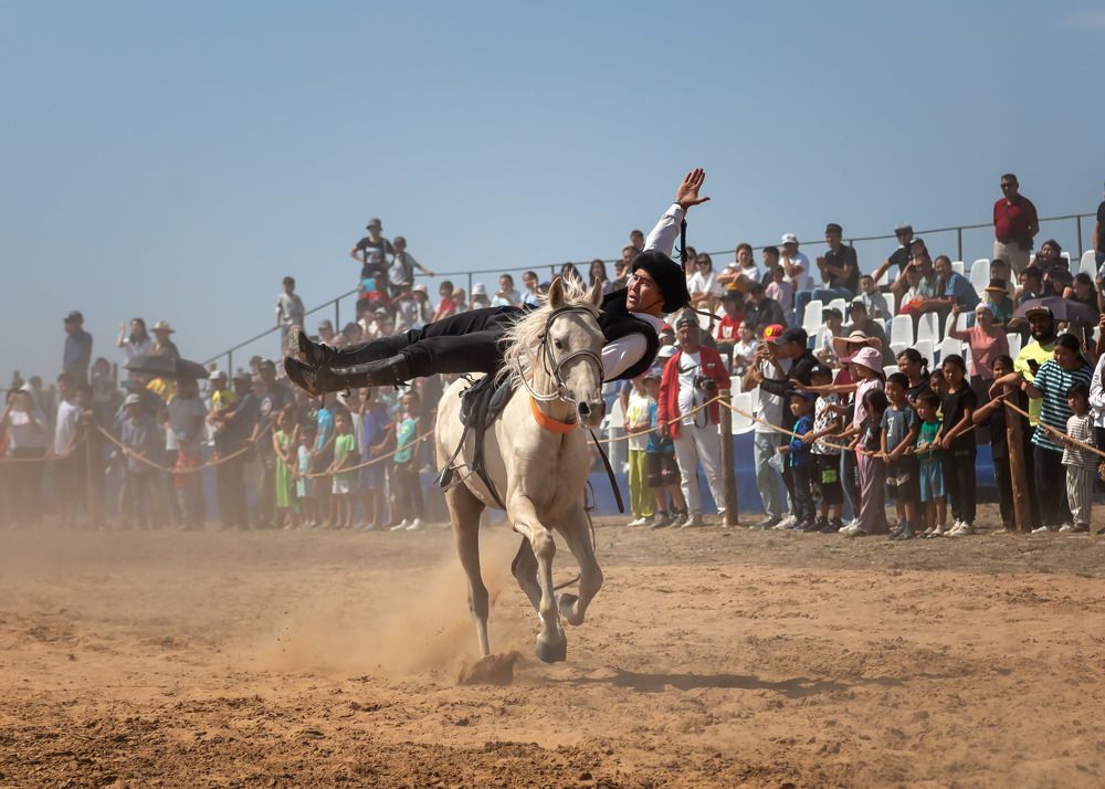 Фотография автора Ирина Масальская