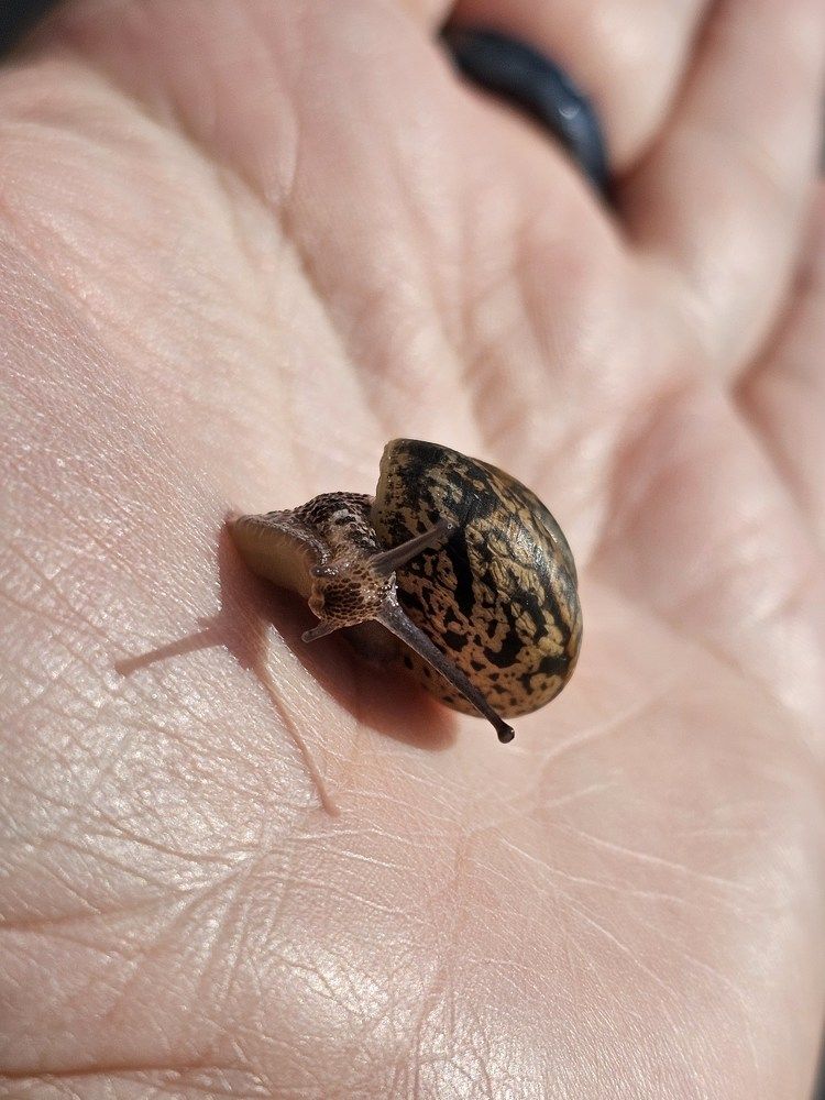 Photograph by Нина Новицкая