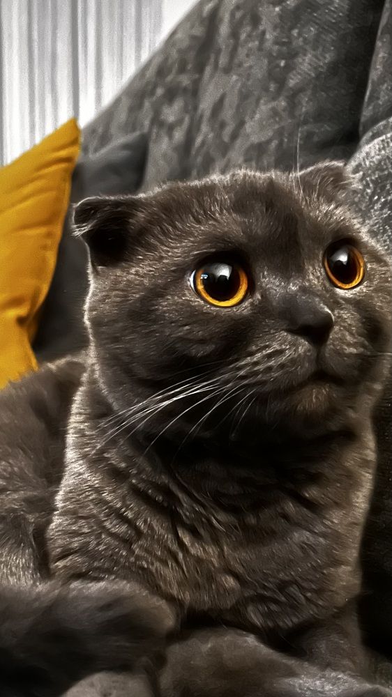 Photograph by Ольга Белоусова