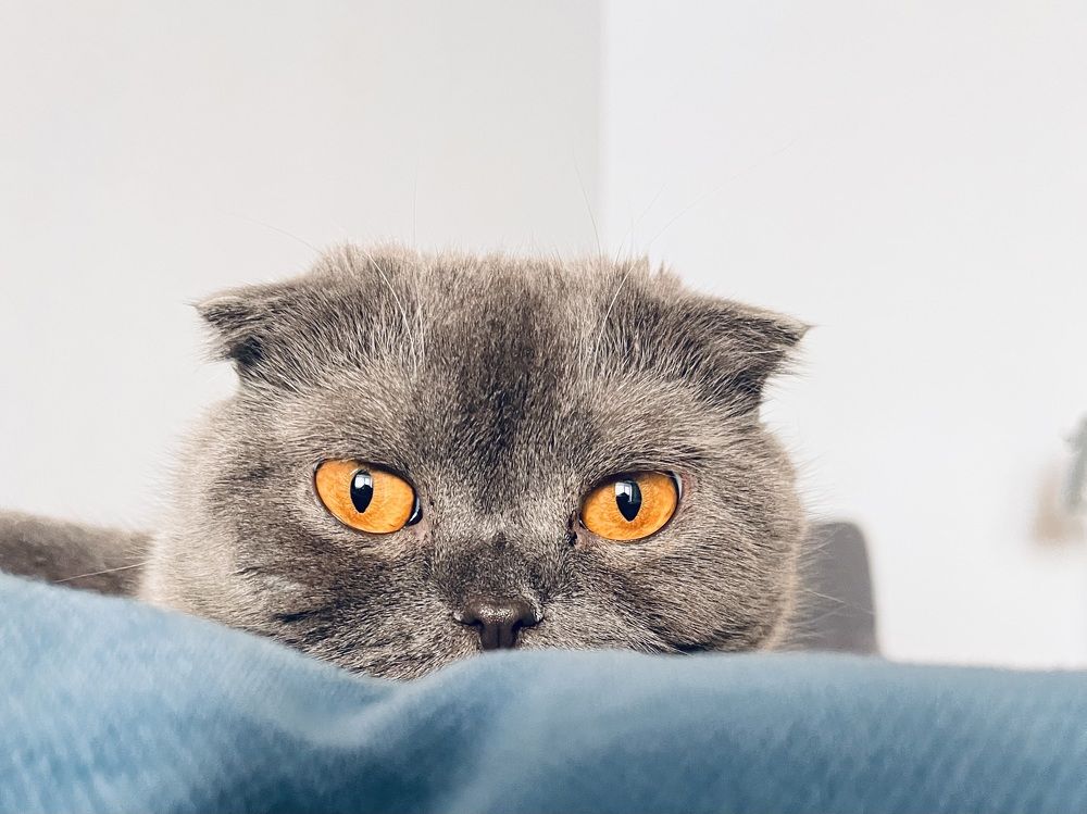 Photograph by Ольга Белоусова