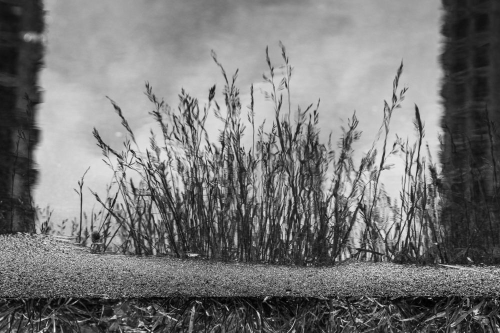 Photograph by Натали Захарова (Тай)