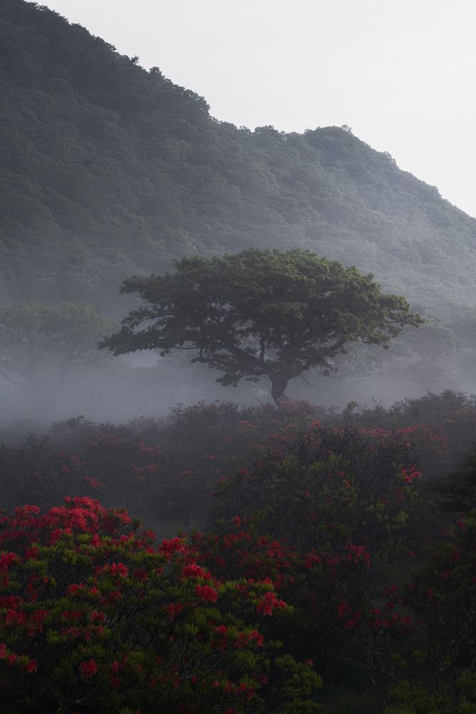 Photograph by Kaneko Atsushi