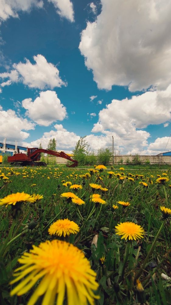 Photograph by Василий Шумкин