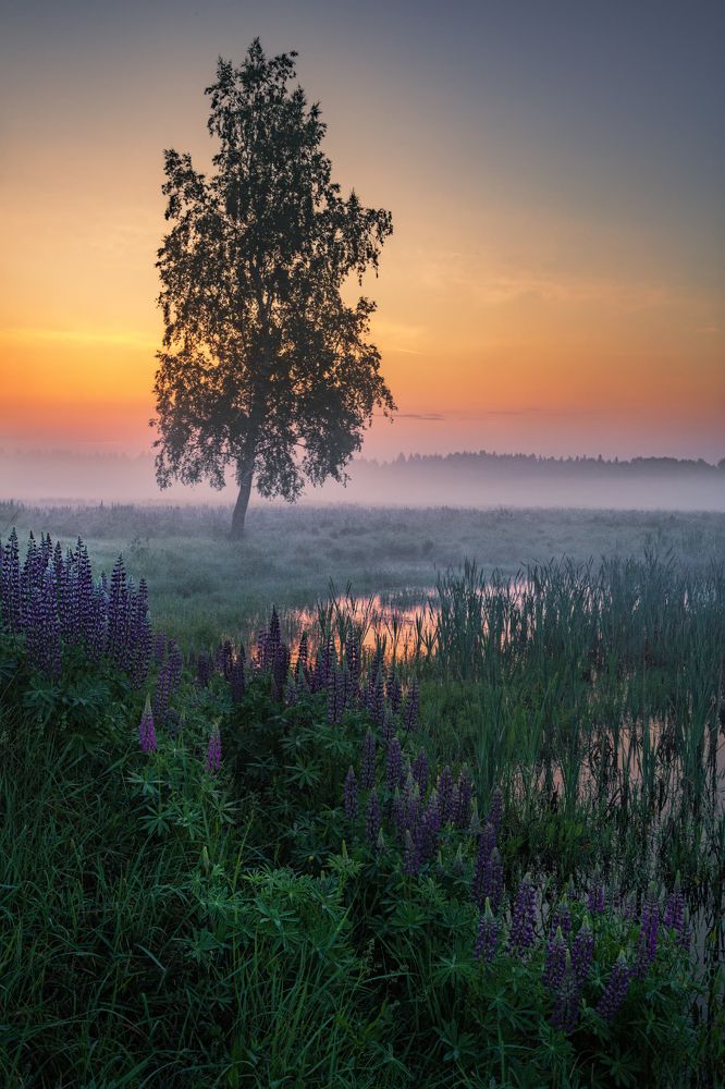 Фотография автора Евгений Ерохин