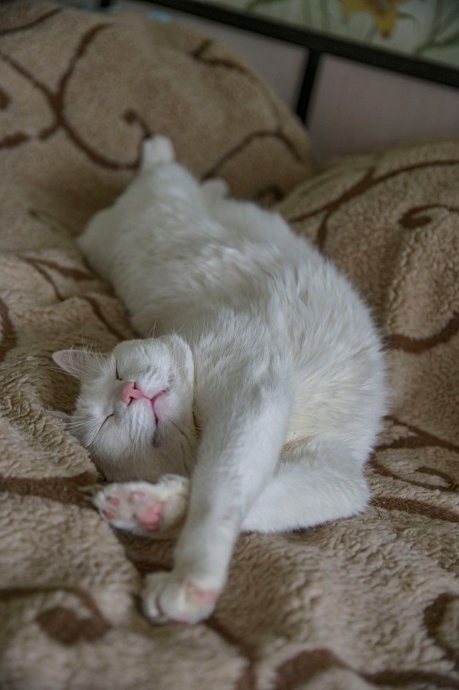 Photograph by Алексей Логинов