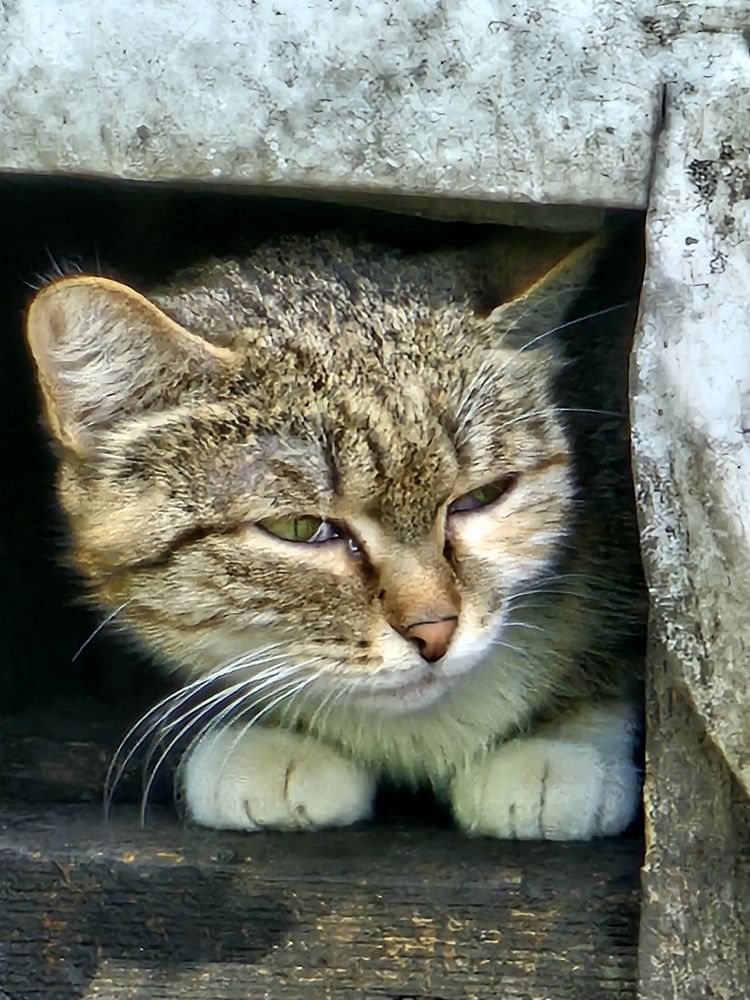 Photograph by Нина Новицкая